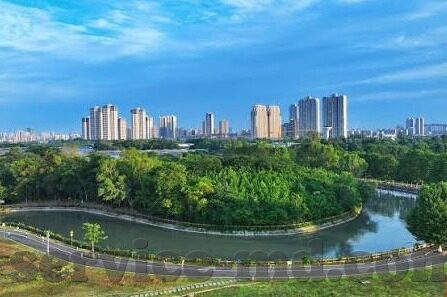 2021国产成人精品视频-2021年国产成人精品视频的多元化发展与创新探索
